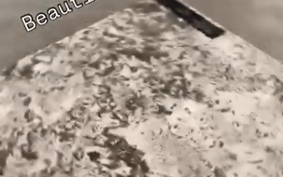 Desert Dreams Meet Urban Sophistication